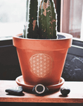 Sticker: Flower of Life Decal | 2 color | 2 sizes