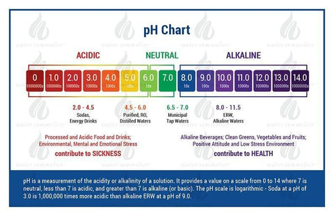 Mini Poster: pH Chart